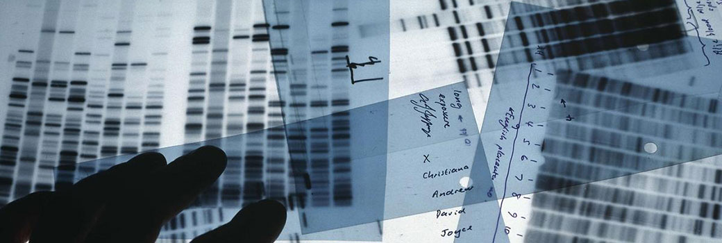DNA Analysis